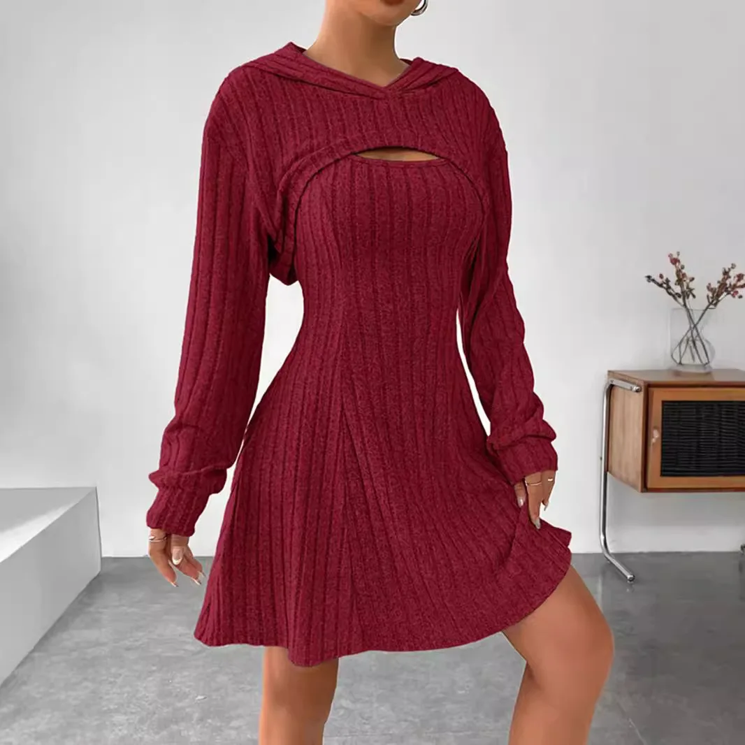 Зимняя мода Толстовка с длинными рукавами Жилет Юбка Комплект из двух предметов