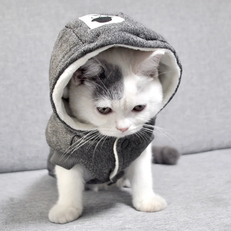

Зимний хлопковый костюм для маленьких кошек, теплый костюм кошки, пальто для кошки, куртка для щенка, одежда для домашнего питомца, одежда дл...