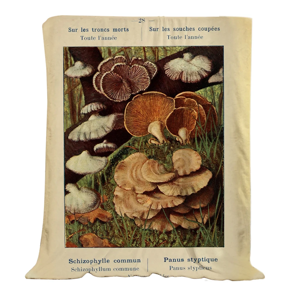 

CLOOCL Mushroom Flannel Blanket Funny Plant 3D Printed Summer Portable Nap Air Conditioner Throw Quilt Blankets for Beds