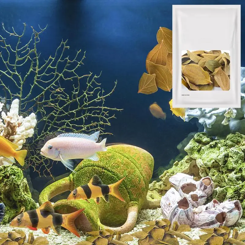 Аквариумные листья Декор 30 шт. Quinoa для аквариума Betta аквариумные 1 97-дюйма сырые