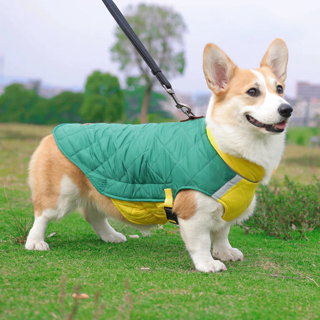 

Winter Dog Clothes Small Dogs Warm Fleece Large Dog Jacket Pet Coat With Harness Chihuahua Clothing Puppy Costume Pet Supplies