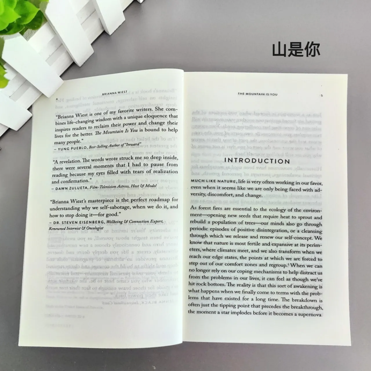 Книга &quotThe Mountain Is You" Brianna Wiest