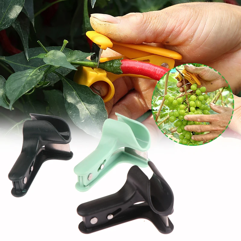 

1 шт., многофункциональный инструмент для сбора овощей