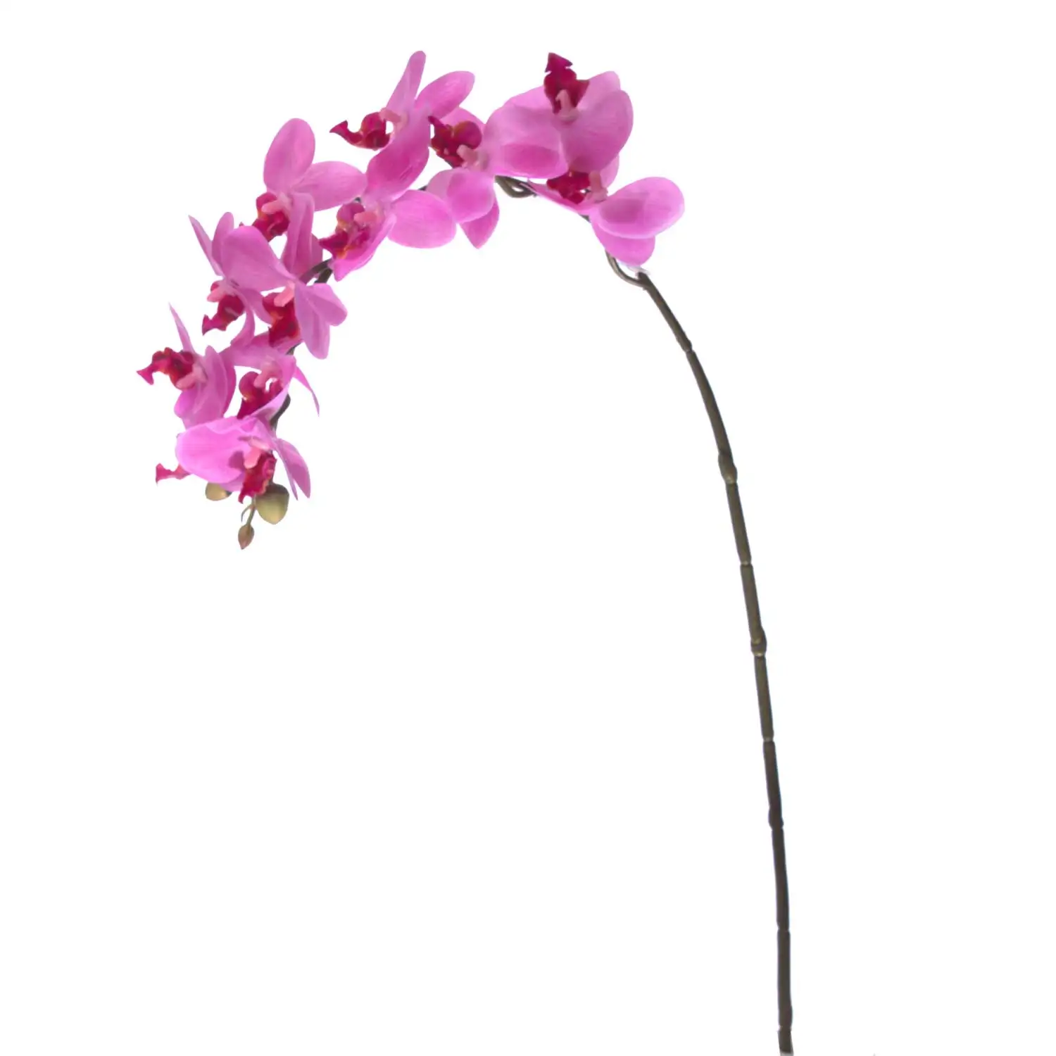 

Euro Flora artificial flower orchid 57,5 Cm