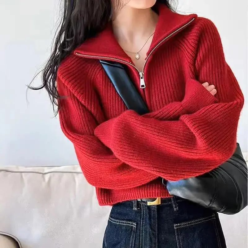 2024 новый стиль корейская версия свободный крой воротник-стойка чувственный