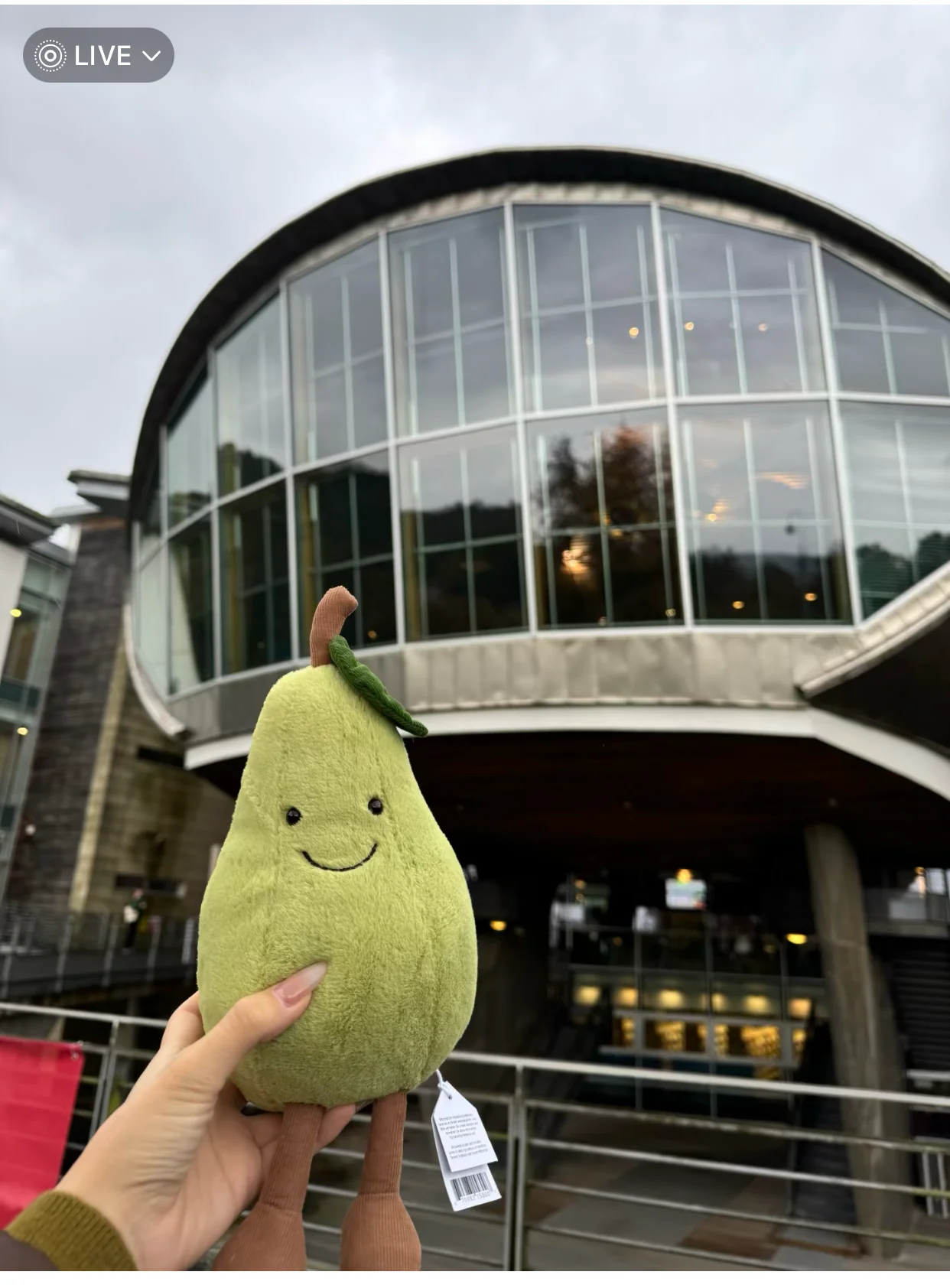 Новый продукт Jellycat на складе. Amuseeables Pear — забавная игрушка из утиной груши