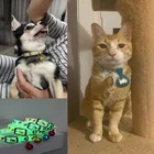 Светящиеся ошейники для домашних животных с колокольчиками, светящиеся ночью ожерелье светильник собак и кошек, светящиеся кольца на шею, аксессуары, ошейник для собак из силикагеля