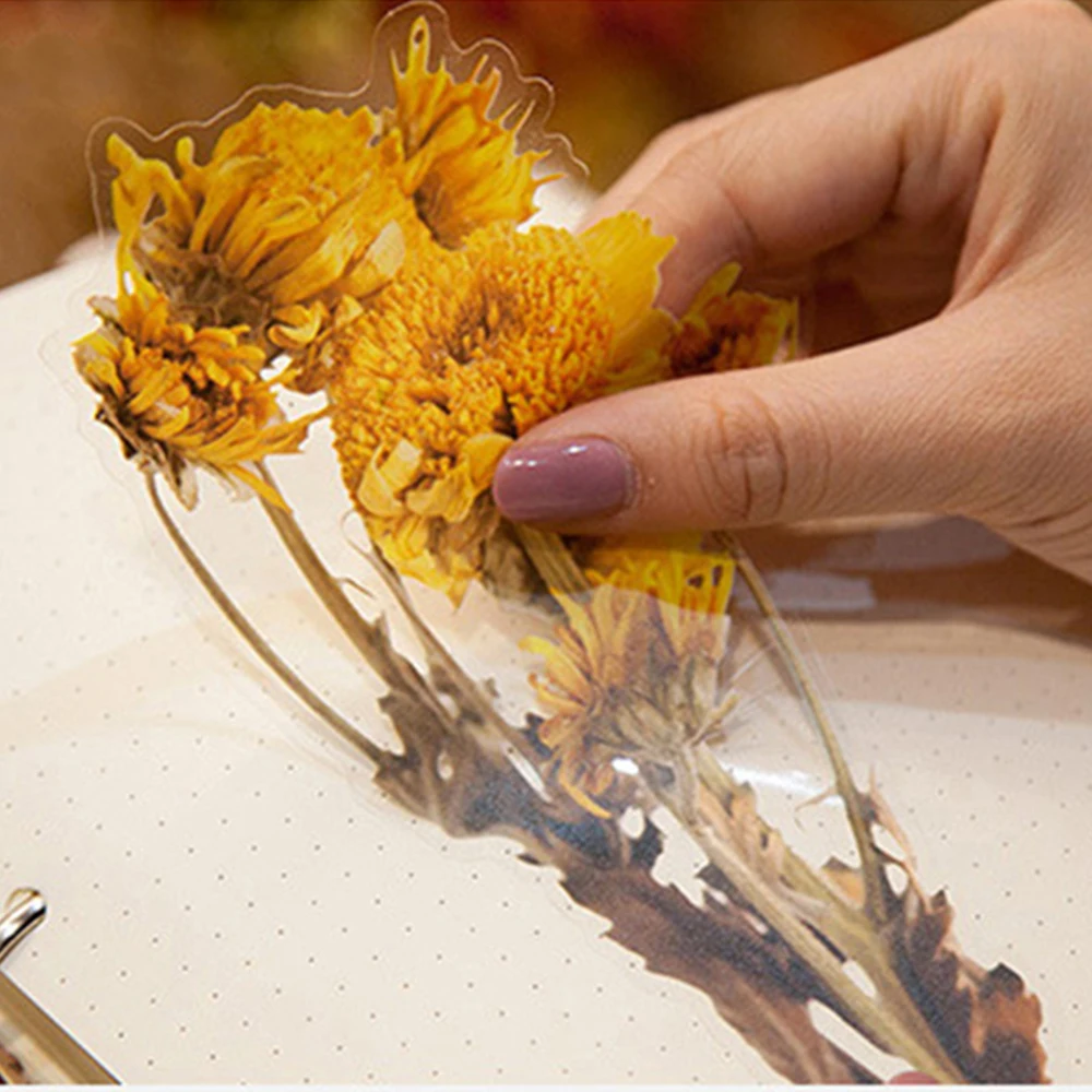 

6 шт., декоративные наклейки для скрапбукинга