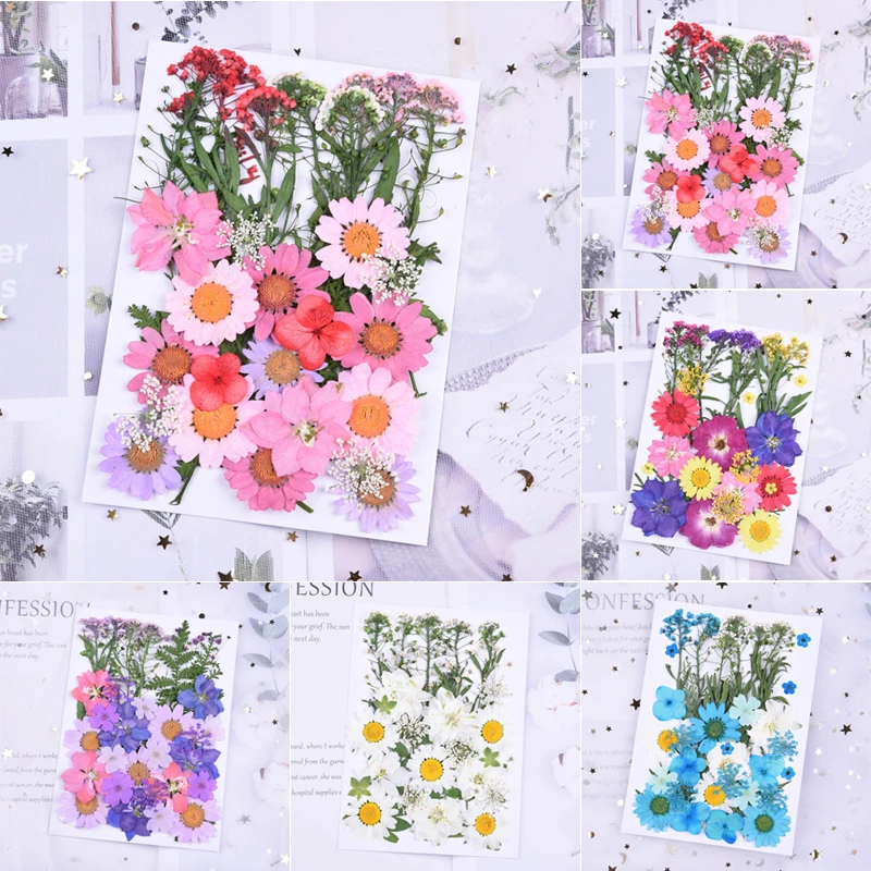 

Pressed Flower Mixed Organic Dried Flowers Diy Art Floral Decors Collection Gift Fping