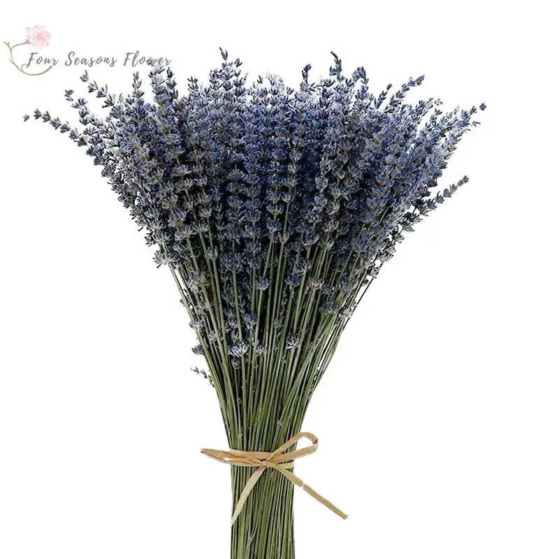 

40g/60g Natural Dried Lavender Flower Romantic Eternal Flowers Bouquet Wedding Party Decoration Preserved Plant Valentine's Gift