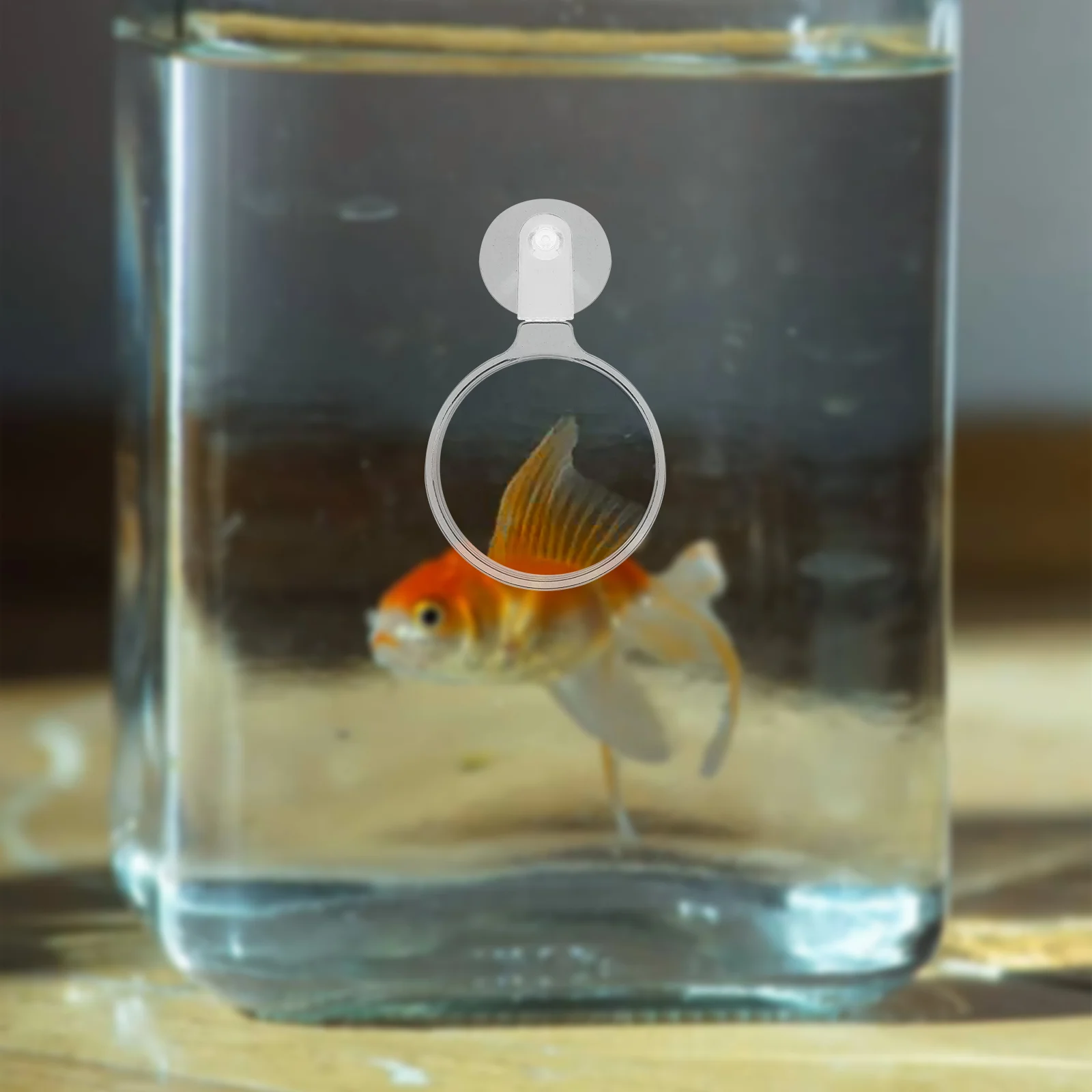 Увеличительное стекло для аквариума лупа маленьких животных аквариумные очки