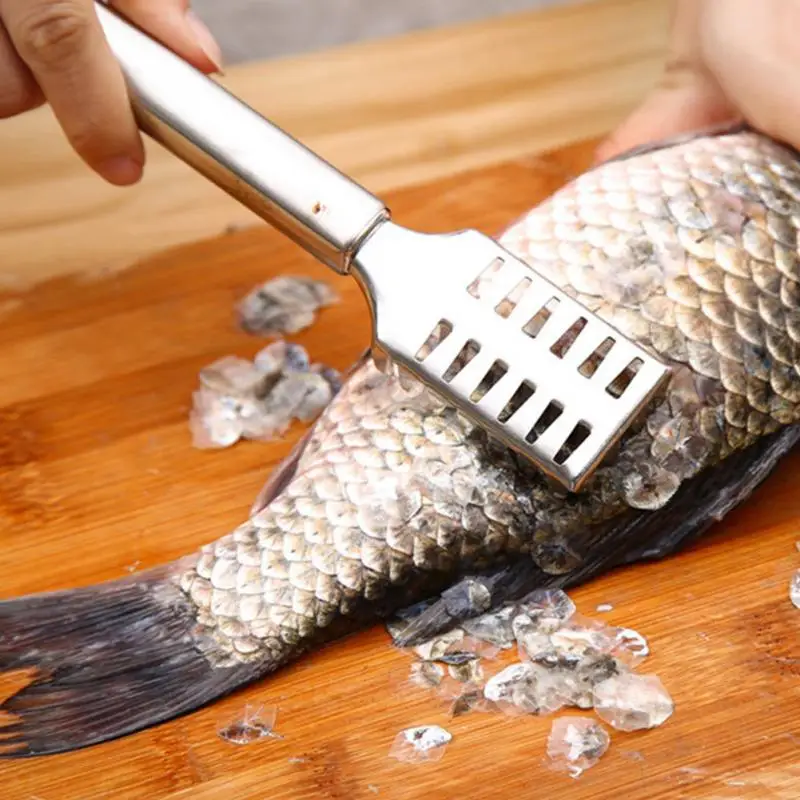 

Fish Skin Brush Scraping Fishing Scale Brush Graters Kitchen Tools Fast Remove Fish Knife Cleaning Peeler Seafood Tools