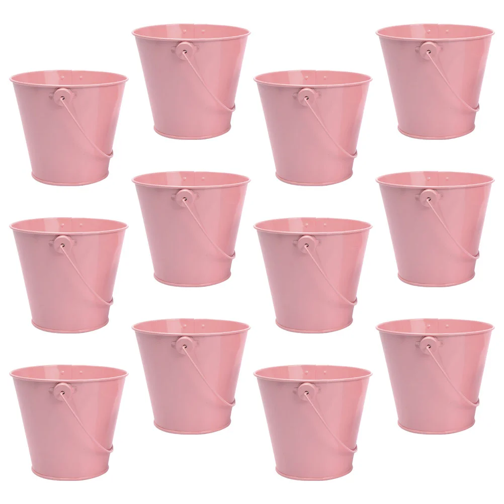 

12pcs Simple Bucket Bucket Handle Bucket Photo Prop Metal Succulents Flower Pot