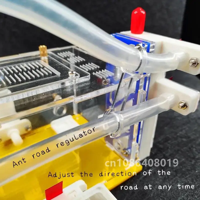 T Design DIY Ant Farm с зонами для кормления Акриловое муравье гнездо Насекомое House Villa Anthill