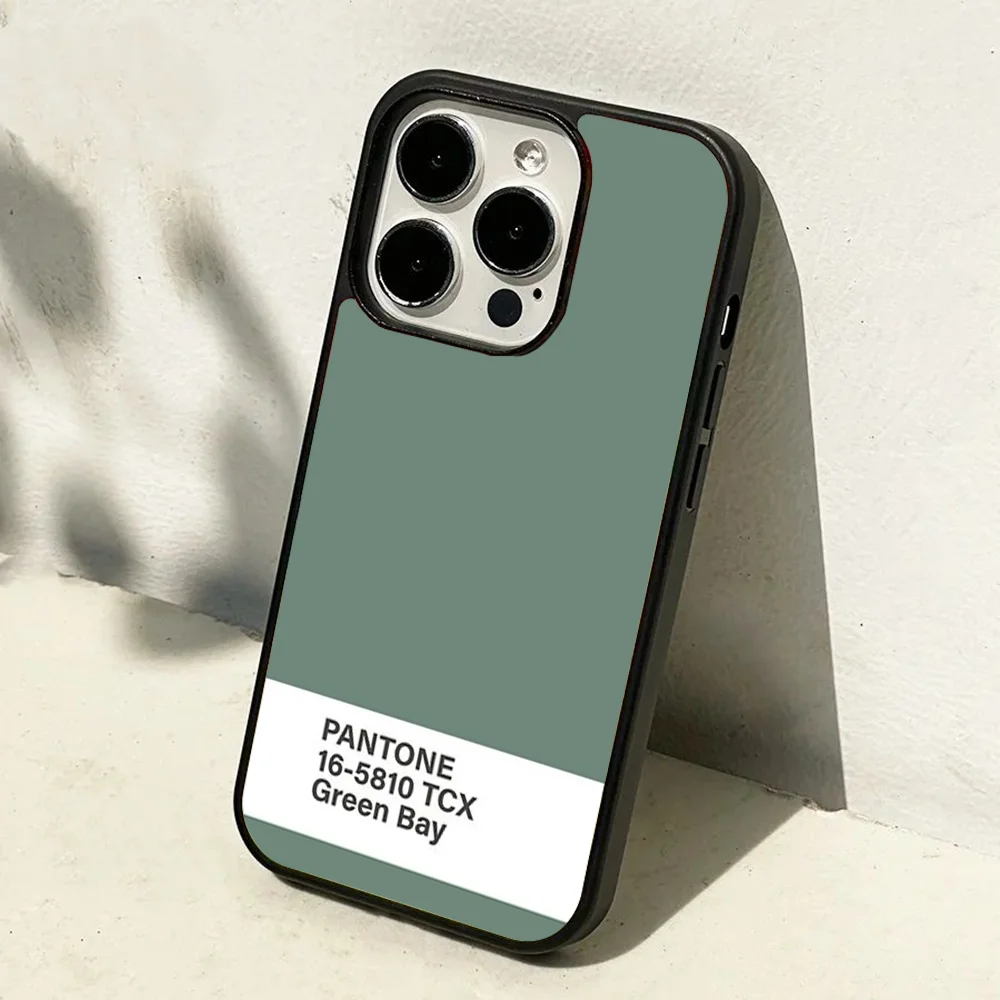 Pantone 16-5810 TCX Green Bay Чехол для телефона с сильным магнитом IPhone 16 15 14 13 Pro Max 11 12 Mini Alex Mirror