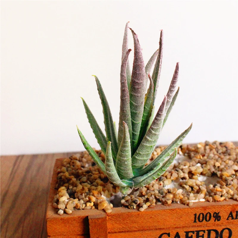 

1pc Artificial Succulent Flower Floral Plastic Plant Fake Aloe Home Decor Party