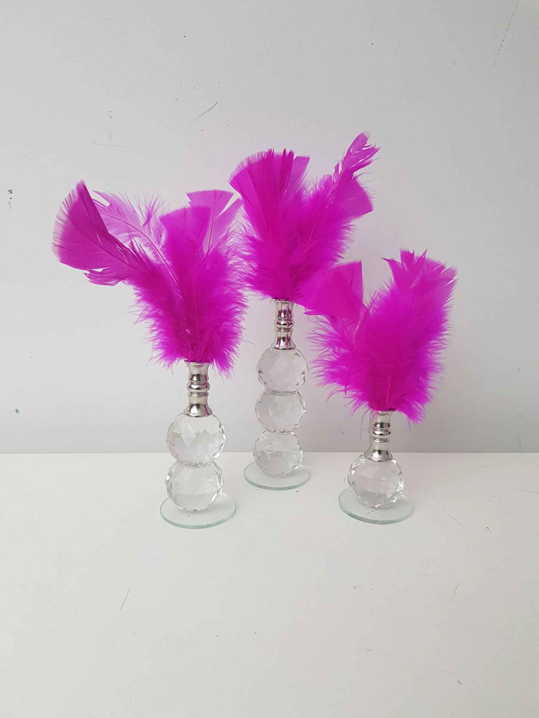 

EU HOME DECORATION AROSE FUCHSIA FEATHER SILVER AĞIZ HOME OFFICE DECOR