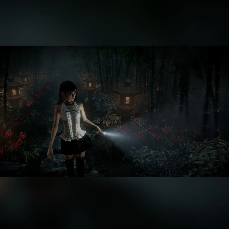 Игровой компакт-диск Fatal Frame Maiden of BlackWater Playstation4