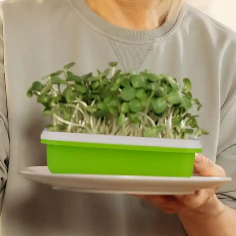 Лотки для прорастания растений система гидропоники выращивания комплект с