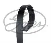 GATES 6 PK1873 KANALLI ремень OPEL VW AUDI DAEWOO MB (68435) (имя.)| |