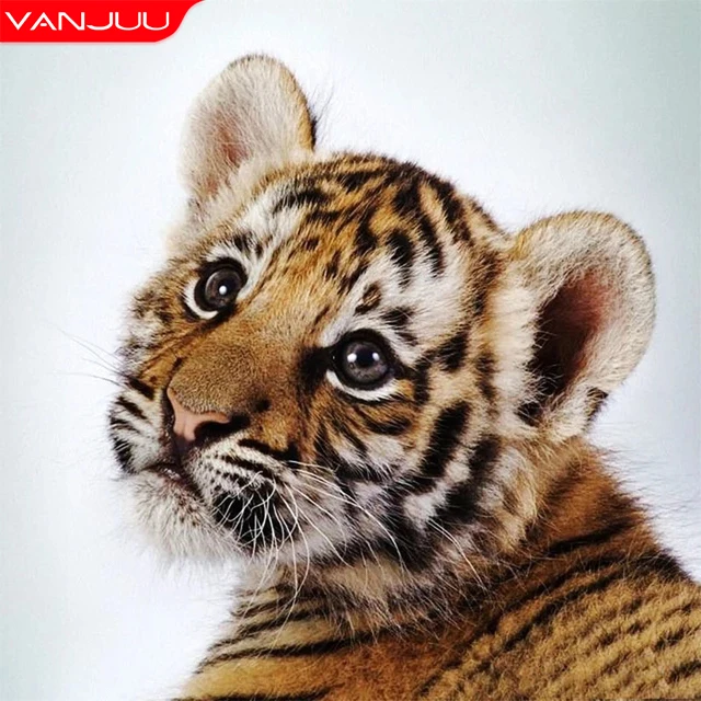 

5D Diamond Painting Tiger Full Drill Diamond Mosaic Animal Diamond Embroidery DIY Rhinestones Home Wall Decor Gift