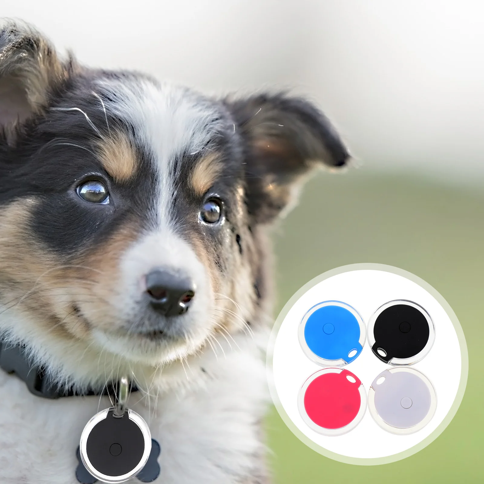 

Finder Pet Anti Lostwireless Devicekids Dog Alarm Kid Walletstag Remote Key Tracking
