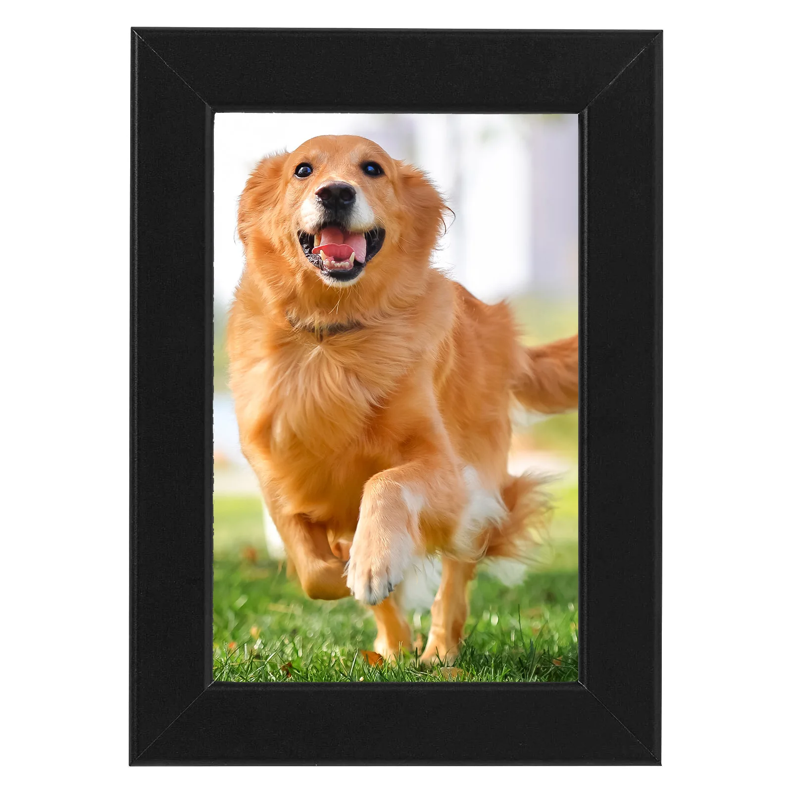 

Photo Frame Picture Frame Simple Stylish 1pcs 4*6 Inches A Good Gift Black Classic Style Decorate Hom For Friends