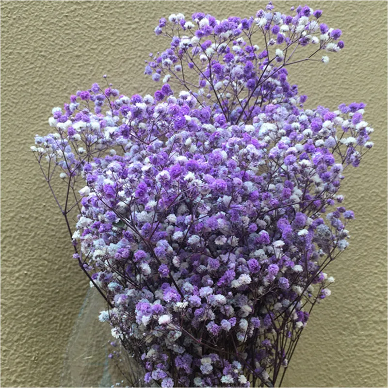 

Light Purple Natural Dried Gypsophila 78g/lot Pink And Red Bouquets Valentine's Day Gifts, Party Wedding Room Store Decorations