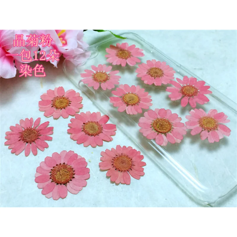 

50pcs Nail Art Color Mixed Small Daisy Flower Sunflower Vivid Exquisite Natural Dried Floral DIY Nail Jewelry Charms Nails Decor