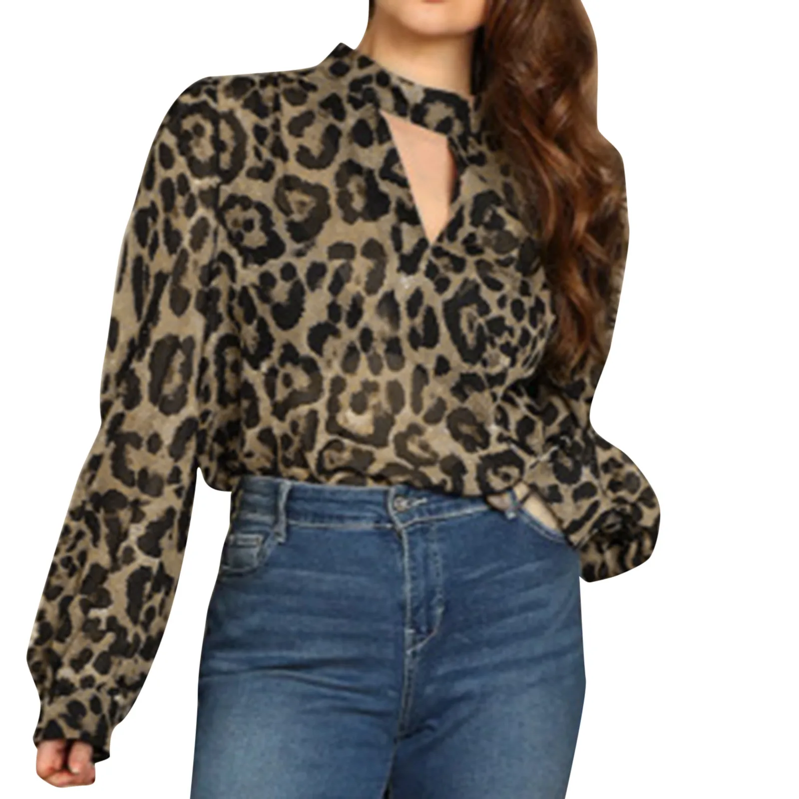

Women's Summer Fashion Top Shirt Casual Chiffon Leopard Pinted Top Shirt Long Lantern Sleeve Elegant Tops Blouse