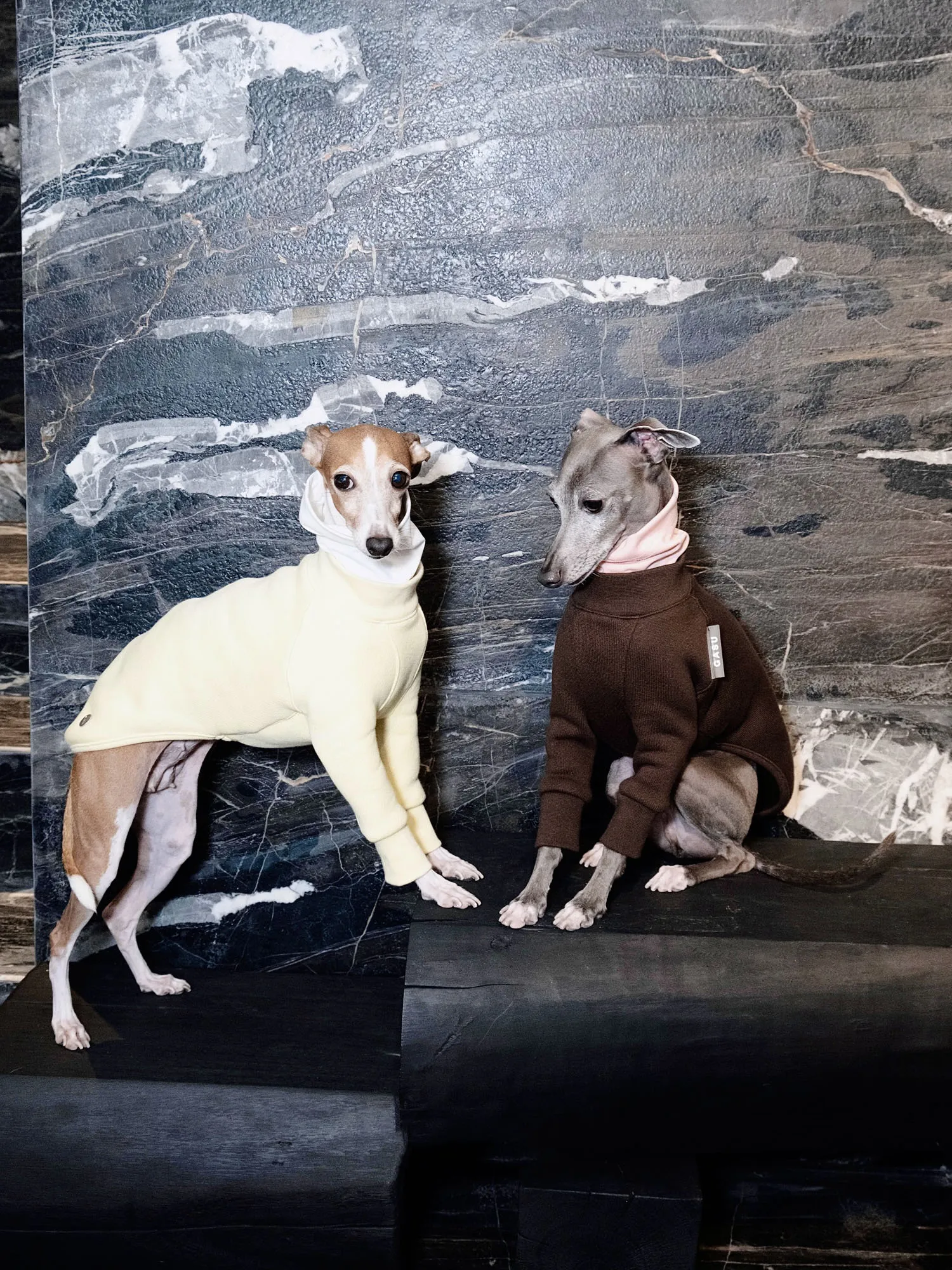 

Dog Clothes Thick Fleece Layered Collar Two legged Clothes Little Lingti Whitbit Slim Fit Thin Dog Pet Clothes