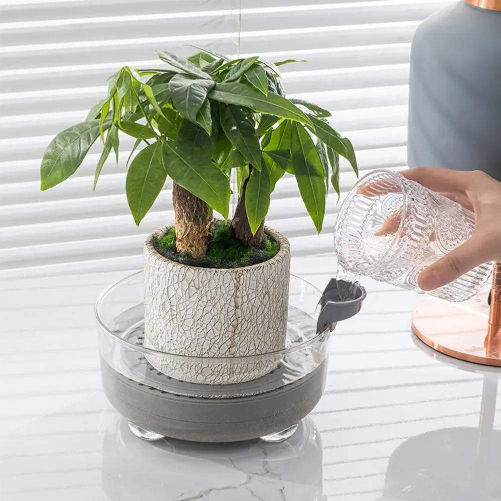 

Professional Succulent Flower Pot Smooth Surface Automatic Water Absorbent Flower Pot Thickened Planter Garden Supplies