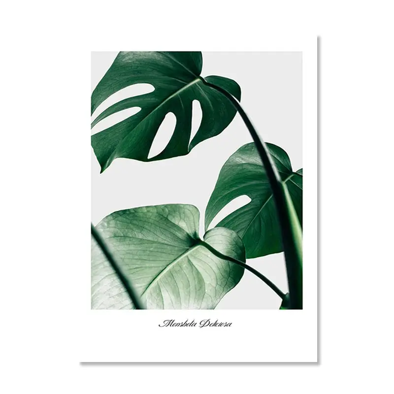 

Плакат с растениями JUBEER