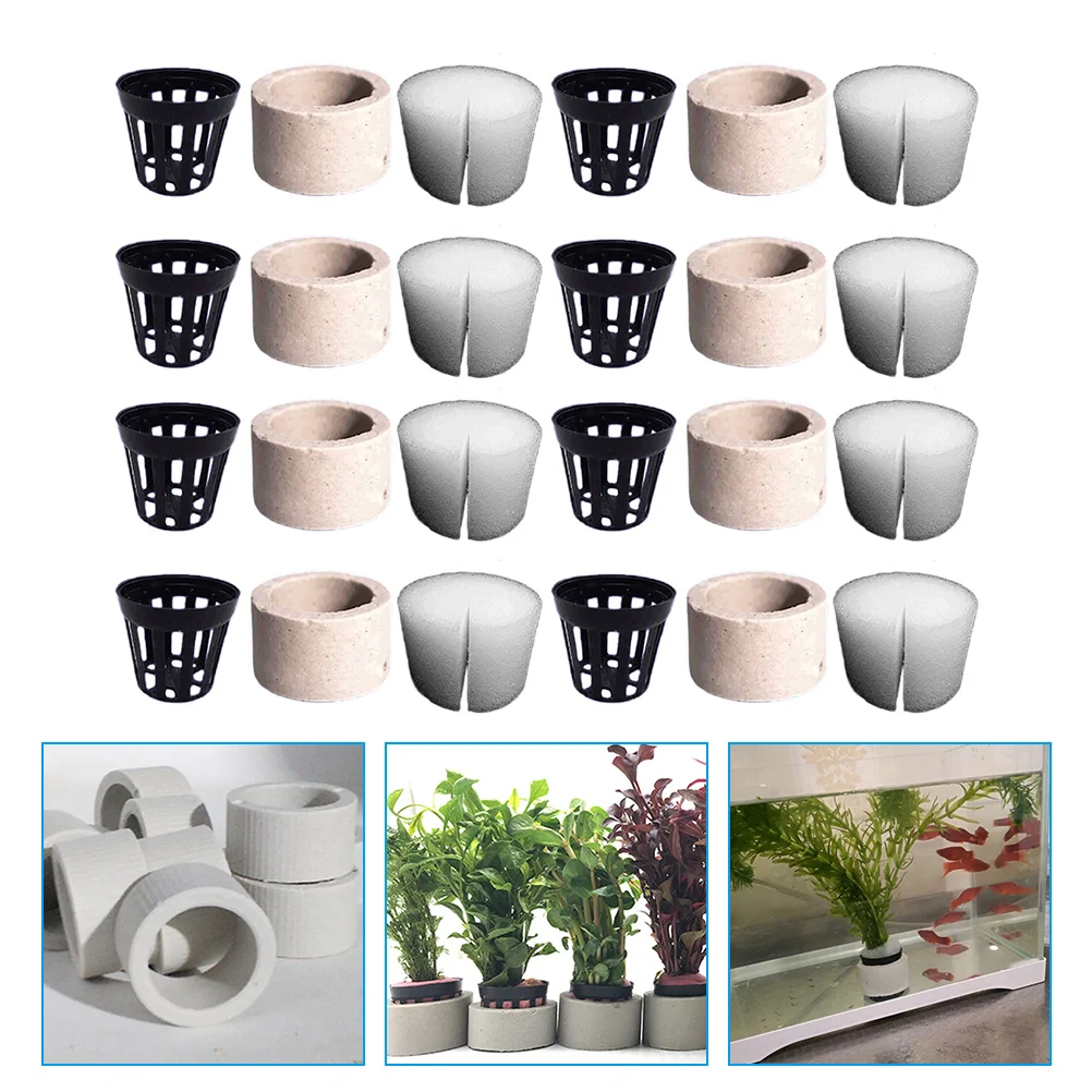 

Cory Catfish Live Gravity Ring Water Botanical Decor Plants Fixed Planting Tools Aquatic Weights Pot