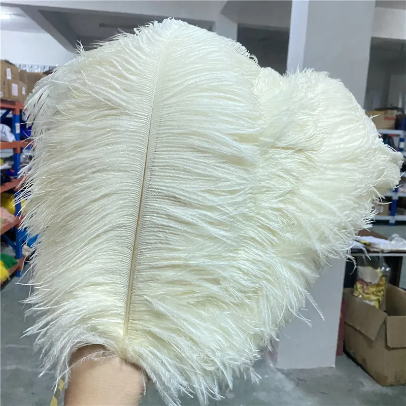 Hot Sale 20-100pcs/lot High Quality Beige Ostrich Feather Wedding 18-20 inches/45-50cm Accessories Carnival Feathers for Crafts | Дом и сад