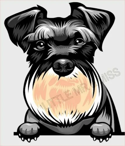 

For SCHNAUZER Peeking Dog Breed Colour Window Wall Laptop Sticker w/proof