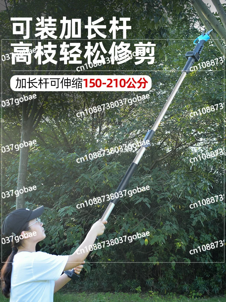 Электрические ножницы Секаторы для фруктовых деревьев Перезаряжаемые высотные