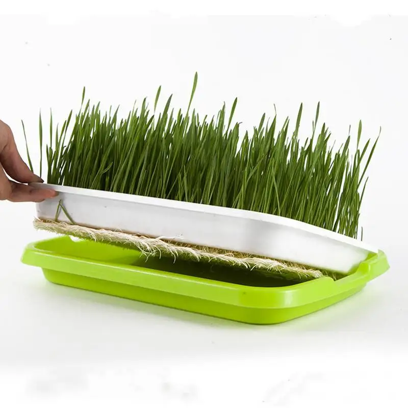 

Bean Sprout Dish Household Soilless Cultivation Hydroponic Seedling Basin Wheat Seedling Cultivation Dish Seedling Basin