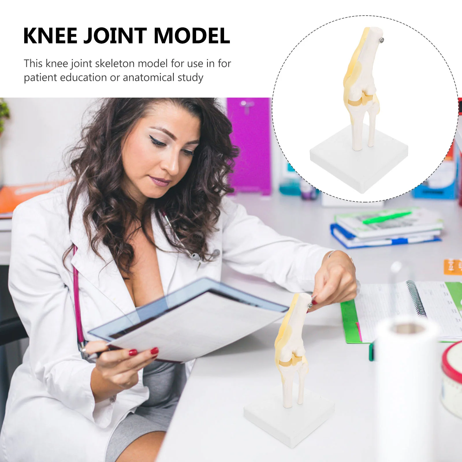 Рисунок 2 - Анатомическое пособие для реального человека