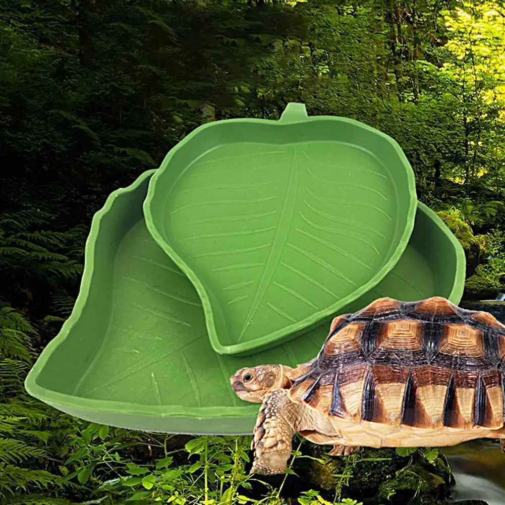 

Pet Dish Bowl Rust-proof Lizard Feeder Bowl Reptile Water Food Dish 파충류