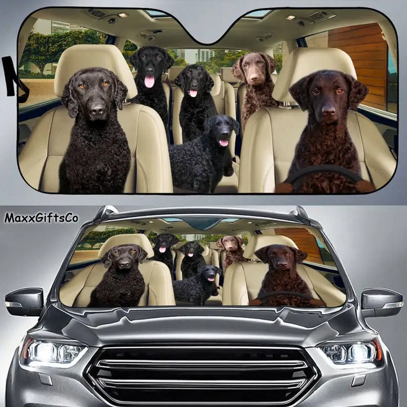 

Curly Coated Retriever Car Sun Shade, Dogs Windshield, Dogs Family Sunshade, Dog Car Accessories, Car Decoration, Gift For Dad,