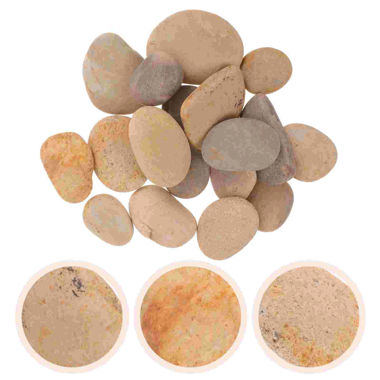 

20 Pcs Painted Stone Fish Aquarium Gravel Rocks Painting Creative Smooth Stones Child