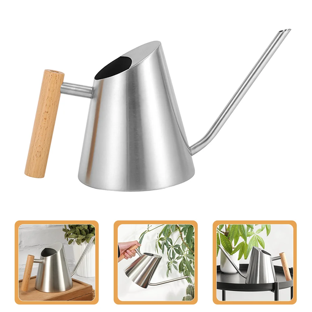 

Succulent Houseplants Can Plants Pitcher Indoor Waterer Spout Juicy