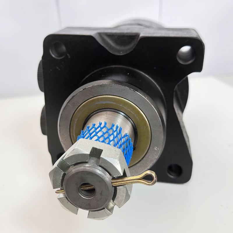 Шлицевой гидравлический двигатель Низкоскоростной высокий крутящий момент BMV-