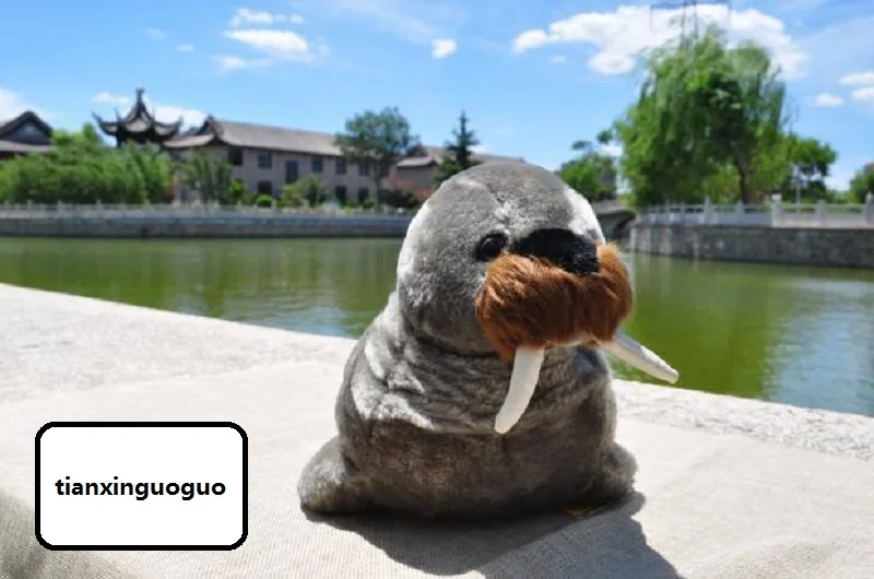 

cute plush gray Walrus toy high quality sea lion doll Christmas gift c2898