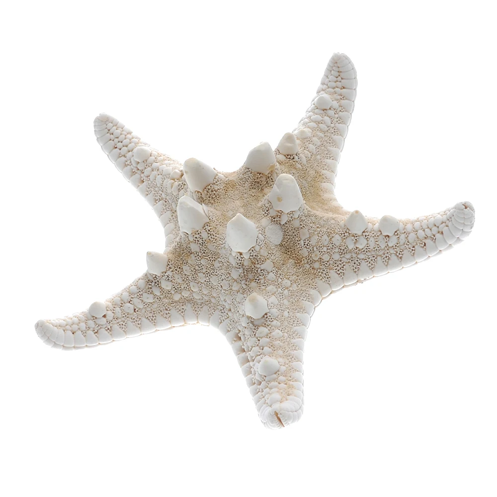 Заколка для волос с натуральными морскими звездами A6758