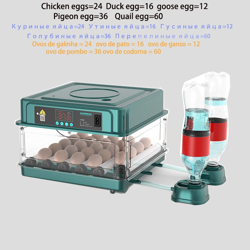 

24/48/64 pcs Automatic Incubator For Hatching Eggs Brooder Bird Goose Duck Quail Chicken Poultry Farm Hatcher Turner Tools