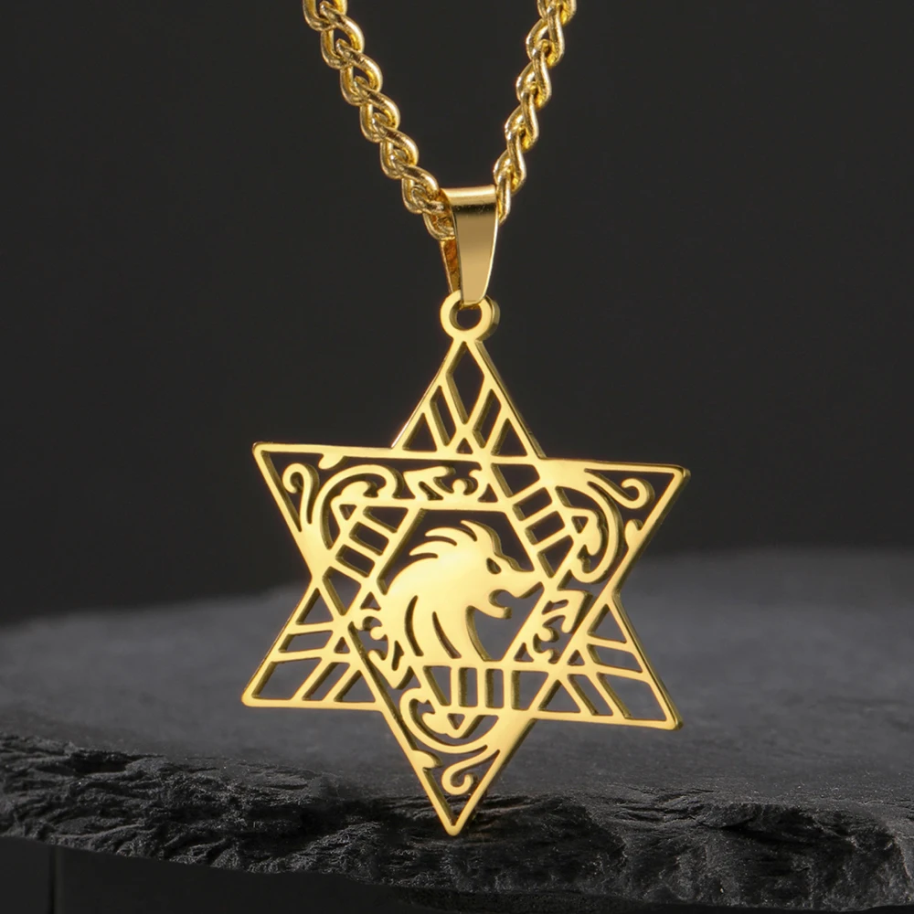 Фото Ожерелье с подвеской Dawapara Lion of Judah Magen Star of David, еврейская звезда, ожерелье с гексаграммой, защитный амулет из нержавеющей стали №1