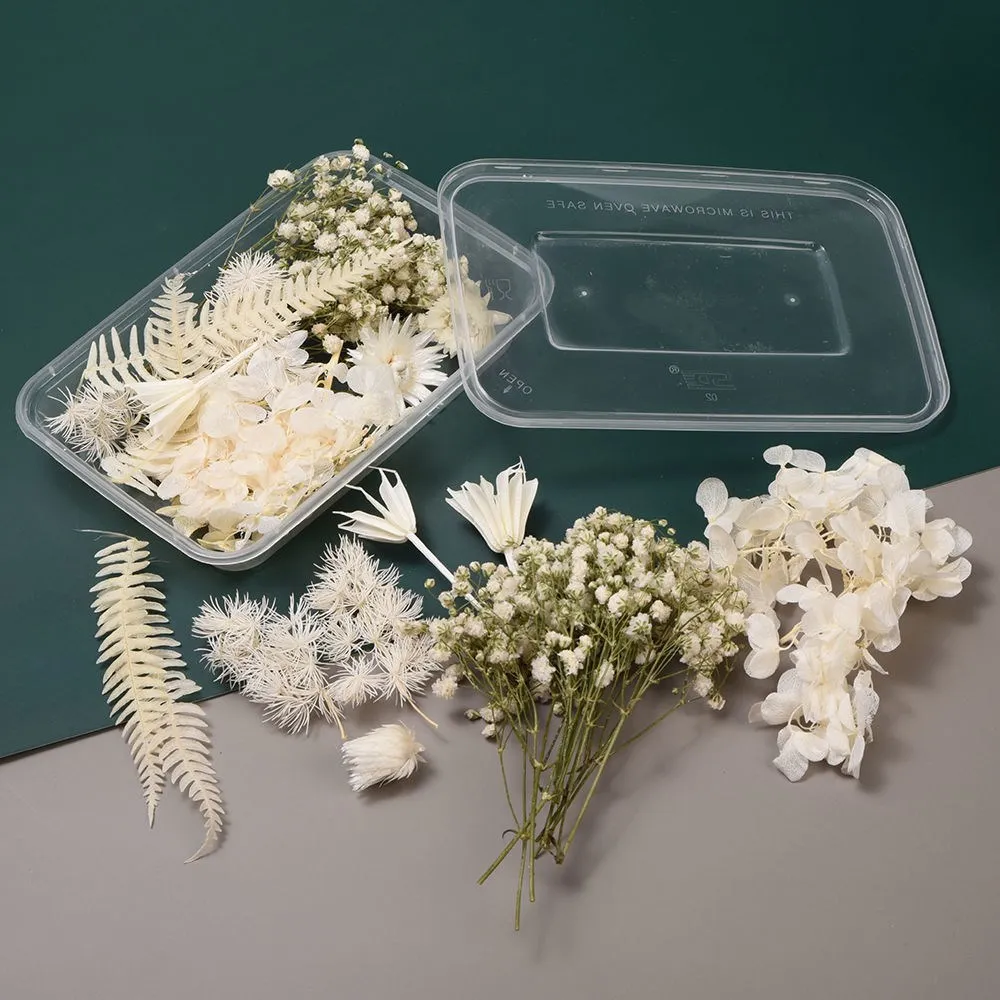 

1Box Real Natural White Dried Flowers Plants for Epoxy Resin Mold DIY Candle Making Accessories Crafts Home Wedding Decoration
