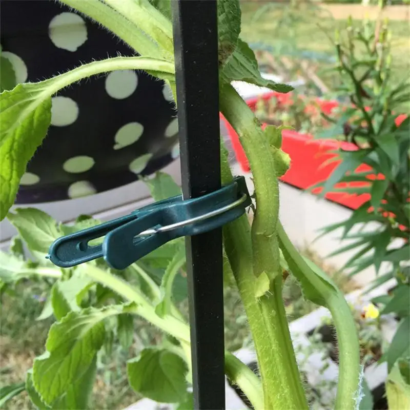 

2/6/10 шт., многоразовые зажимы для растений